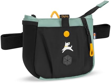 OllyDog Backcountry Day Bag | Dog Training Treat Pouch | Eco-Friendly Recycled Fabric Fanny Pack with Zipper Closure, Built-in Poop Bag Dispenser & Adjustable Waist Belt (Surf)
