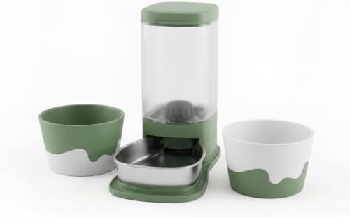 Customizable pet Name Elevated Pet Bowl Stand