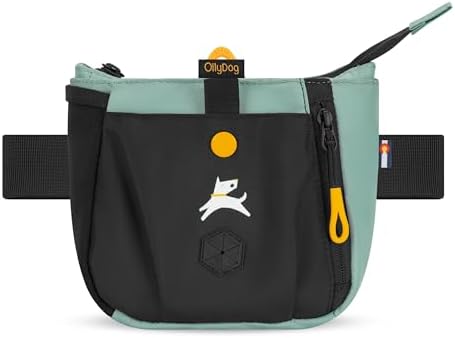 OllyDog Backcountry Day Bag | Dog Training Treat Pouch | Eco-Friendly Recycled Fabric Fanny Pack with Zipper Closure, Built-in Poop Bag Dispenser & Adjustable Waist Belt (Surf)
