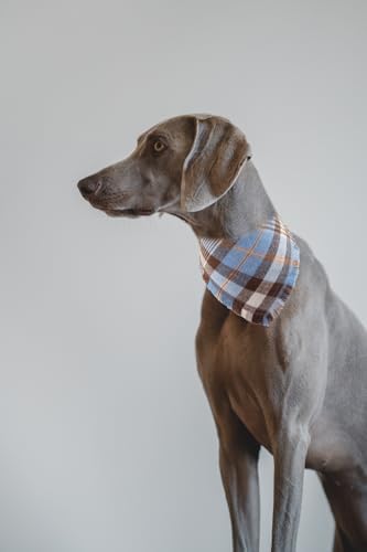 Fall Dog Bandana Autumn Thanksgiving Plaid Reversible Triangle Bibs Scarf