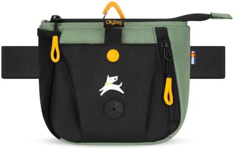 OllyDog Backcountry Day Bag | Dog Training Treat Pouch | Eco-Friendly Recycled Fabric Fanny Pack with Zipper Closure, Built-in Poop Bag Dispenser & Adjustable Waist Belt (Olivine)
