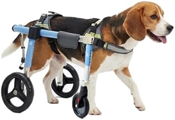 Dog Wheelchair for Disabled Dogs Hind Legs Adjustable XS-2XL Mobility Aid Pet Cart Breathable Mesh Harness, Paralysis Assistance for Arthritic Senior Dogs Outdoor & Indoor