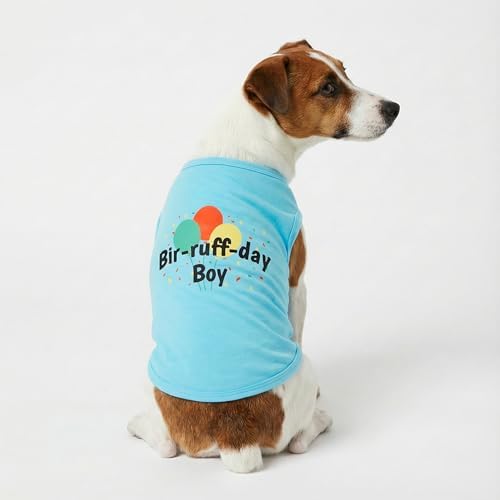 Fitwarm Birthday Boy Dog Shirt, Bir-Ruff-Day Boy Funny Dog Clothes for Small Dogs Boy, Pet Birthday Outfit, Cat Tshirt, 100% Breathable Cotton, Aqua Blue, XXL