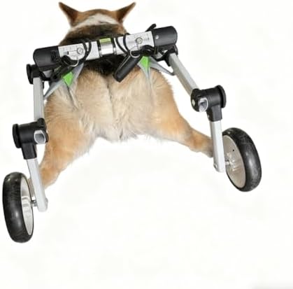Dog Bike Trailer Foldable Paw Cart Adjustable Pet Mobility Aid for Back Leg Injury Or Paralysis Foldable Aluminum Frame for Outdoor Bike Ride Travel with Disabled Pets