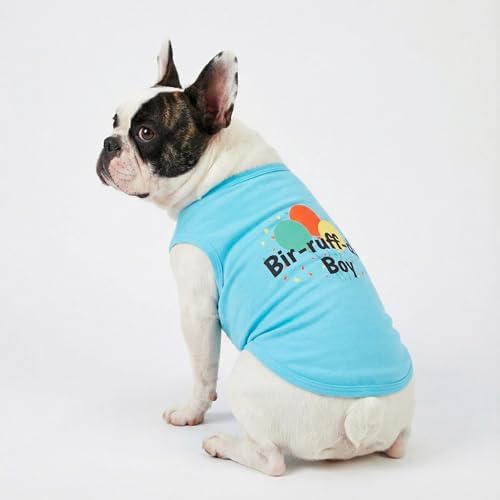 Fitwarm Birthday Boy Dog Shirt, Bir-Ruff-Day Boy Funny Dog Clothes for Small Dogs Boy, Pet Birthday Outfit, Cat Tshirt, 100% Breathable Cotton, Aqua Blue, Medium