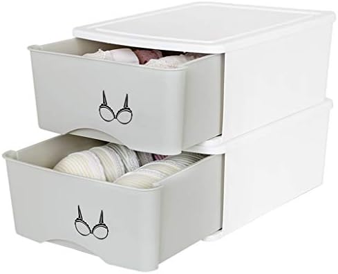 Drawer Organisers Closet Dividers Underwear Storage Box Plastic Storage Case for Bras Underwear Socks (Color : Size : Butterfly) (Blue Underwear x2)