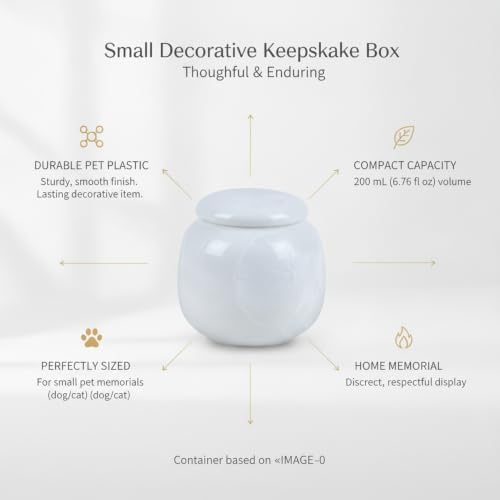 Securely Store Small Items in This Compact PET Plastic Decorative Box, 6.76 fl oz Capacity (1 Piece)