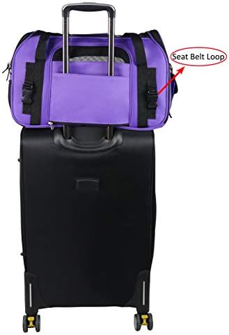 EliteField Soft-Sided Pet Carrier for Cats & Small Dogs (3-Year Warranty) | Airline Approved, Removable Bed & Cover, Built-In Leash, Luggage Sleeve, Seat Belt Loop, Waterproof, Durable, Foldable