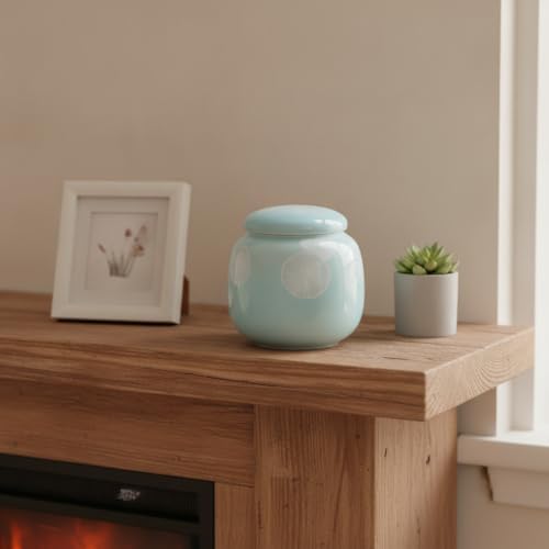 Securely Store Small Items in This Compact PET Plastic Decorative Box, 6.76 fl oz Capacity (1 Piece)
