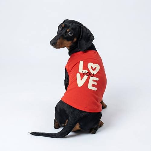 Fitwarm Love You Dog Shirt, Funny Valentines Outfit for Small Dogs Boy Girl, Festive Pet Clothes, Red, White, Medium