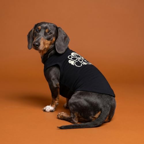 Fitwarm Boo Crew Halloween Dog Shirt, Spooky Costumes for Small Dogs Boy Girl, Funny Pet Outfit, Black, White, Small