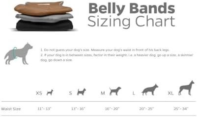 Pet Parents® Washable Belly Bands for Dogs (3pack) + Extendrs® Durable Dog Diapers - Premium Male Dog Diapers & Wraps (X-Small, Natural)