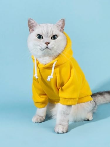 QWINEE Basic Dog Hoodie Sweatshirt Puppy Sweater Warm Cat Costumes Pet Clothes for Chihuahua Puppy Kitten Small Medium Dogs Yellow Small