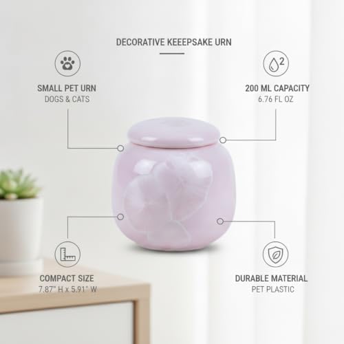 Securely Store Small Items in This Compact PET Plastic Decorative Box, 6.76 fl oz Capacity (1 Piece)