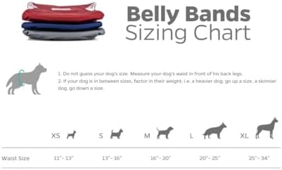 Pet Parents® Washable Belly Bands for Male Dogs (3pack) + Extendrs® of Durable Dog Diapers Male, Premium Male Dog Diapers & Dog Wraps (X-Large, Kingsmen)