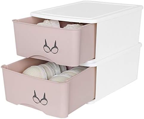 Drawer Organisers Closet Dividers Underwear Storage Box Plastic Storage Case for Bras Underwear Socks (Color : Size : Butterfly) (Underwear x2)