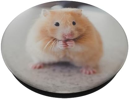 PopSockets Hamster PopGrip Adhesive Grip Stand for Smartphones (Black)