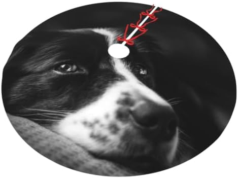 Christmas Tree Skirt, Soft Polyester Xmas Tree Skirts with Ribbon Ties, Rustic Farmhouse Holiday Intense Dog Emotion Down Border Doggy Collie Mix Pet Attentive Australian Design Ears 30"