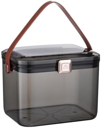 PRETYZOOM Large Capacity Medicine Storage Box Dual Layer for Home Desktop