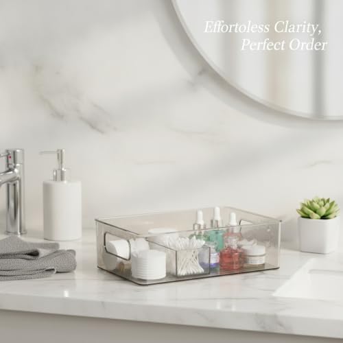 Clear PET Storage Box with Handle & Lid, 10.3 x 6.1 x 3.0 Inch Transparent Organizer for Bathroom Vanity, Desktop, or Shelf (1 Pack)