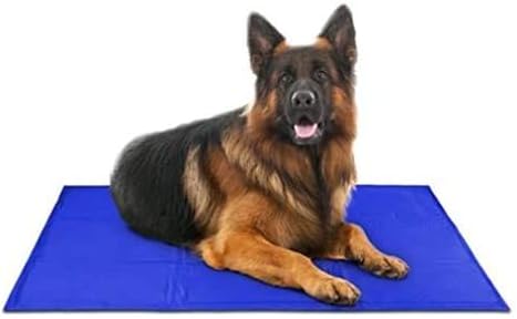 Arf Pets Dog Cooling Mat - Solid Gel Self-Cool Pad | Durable & Non-Toxic | No Water, Electricity, Batteries or Refrigeration Needed | For Beds, Kennels & Crates| 31" x 37"