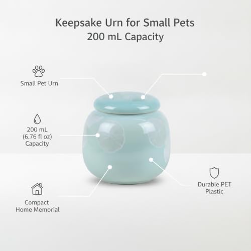 Securely Store Small Items in This Compact PET Plastic Decorative Box, 6.76 fl oz Capacity (1 Piece)