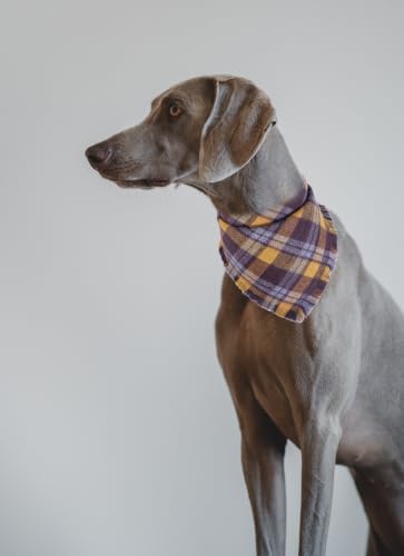 Fall Dog Bandana Autumn Thanksgiving Plaid Reversible Triangle Bibs Scarf