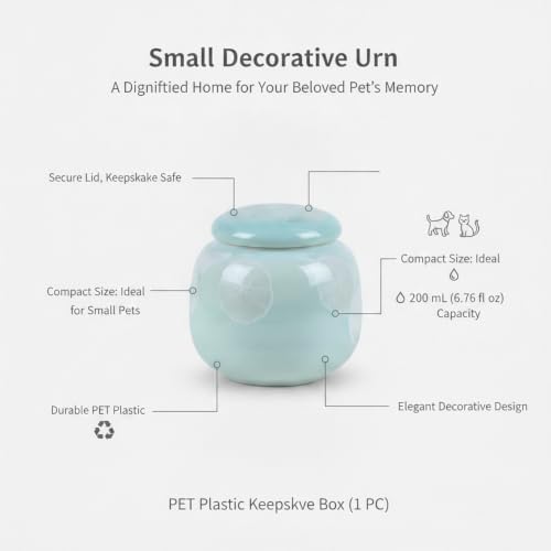 Securely Store Small Items in This Compact PET Plastic Decorative Box, 6.76 fl oz Capacity (1 Piece)