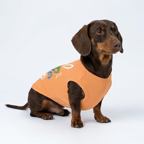 Fitwarm Happy Easter Bunny Dog Shirt, Easter Dog Clothes for Small Dogs Boy Girl, Cute Pet Outfit, Green, Blue, White, Orange, Large