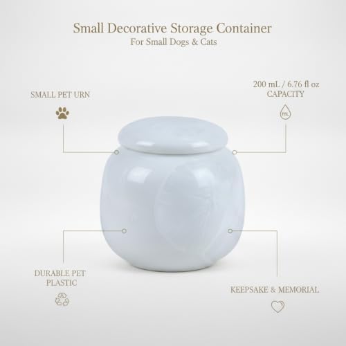 Securely Store Small Items in This Compact PET Plastic Decorative Box, 6.76 fl oz Capacity (1 Piece)