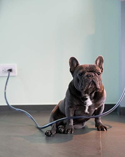 PETCORDS Heavy Duty, Extra Strength Dog and Cat Cord Protector- Protects Your Pets from Chewing Through Insulated Cables up to 10 ft, for Tough chewers - Unscented, Odorless