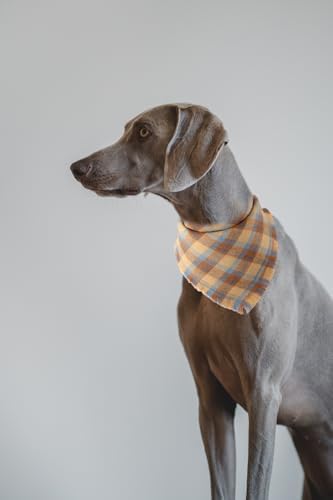 Fall Dog Bandana Autumn Thanksgiving Plaid Reversible Triangle Bibs Scarf
