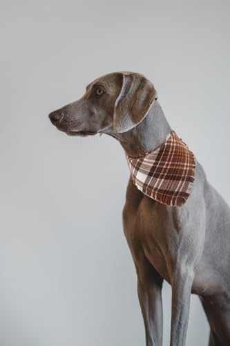 Fall Dog Bandana Autumn Thanksgiving Plaid Reversible Triangle Bibs Scarf