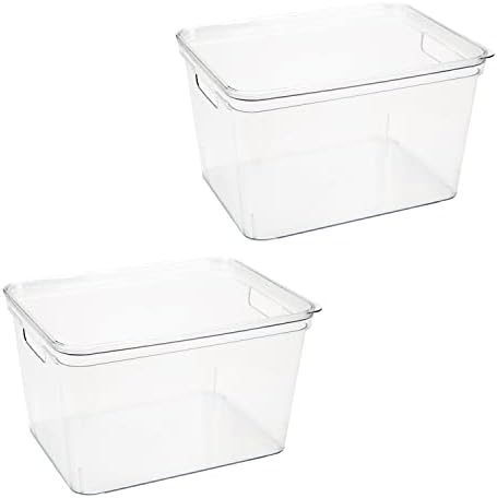 Simplify 2 Pack Large Lidded Storage Bin, Dimensions: 14.17" x 10.6" x 8.9", Multipurpose Organizer, Great for Home, Bathroom, Office, Kitchen, Clear, 2 Open Handles, Home Organization