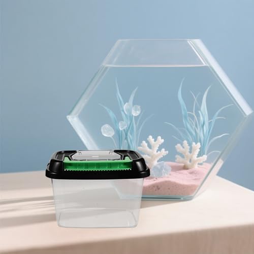 Plastic Reptile Terrarium Container with Cover, Handheld Habitat Box | Breeding Storage Bin, Hatching and Feeding Use, for Spider and Small Pet Keeping at Home