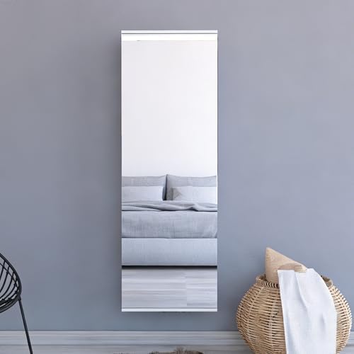 Shoe Cabinet with Mirror Modern Black Mirrored Shoe Storage Cabinet 67" Tall 5-Tier Shelves Narrow Shoe Storage Cabinet for Entryway Space Saving Furniture (Wall-Mounted, Grey)
