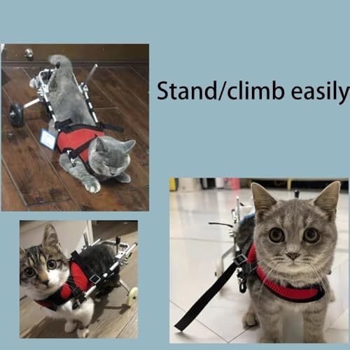 Dog Wheelchair for Back Legs Adjustable Pet Mobility Cart for Hind Leg Durable，Breathable Mobility Aid for Hip Dysplasia Support & Rehab Walking