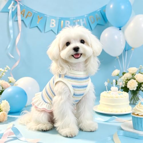 Striped Small Dog Dress Cute Pink Girl Dogs Cats Clothes, Blue XXL