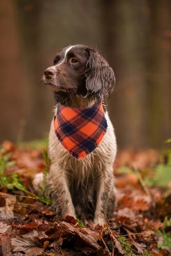 Halloween Dog Bandana Fall Autumn Plaid Reversible Triangle Bibs Scarf