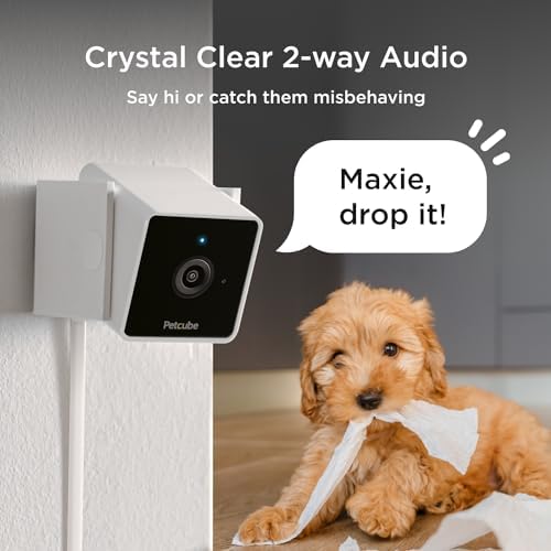 Petcube Cam (3-Pack) – Wi-Fi Pet & Security Camera with App
