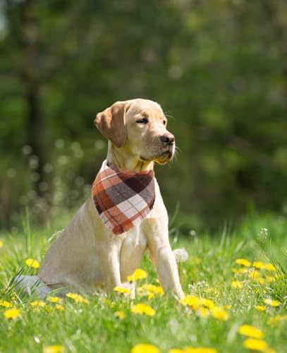 Fall Dog Bandana Autumn Thanksgiving Plaid Reversible Triangle Bibs Scarf