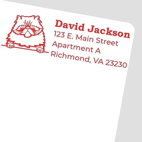 Colorpoint Persian Address Stamp, Personalized Cat Name Stamp, Duo Hand Seal for Feline Lovers, Custom Return Mail Mark, Cat Decor Kit