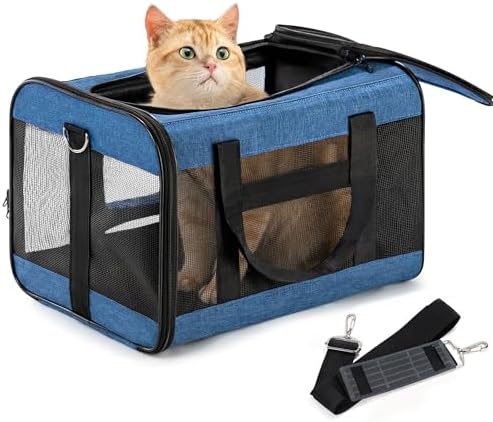Conlun Cat Carrier Airline Approved, Soft-Sided Dog Carrier with Inner Safety Leash, Pet Transport Carrier for Small-Medium Cats Puppies up to 15 Lbs, Collapsible Travel Kitten Carrier Bag -Blue M | Airline Approved,with Inner Safety Leash,Collapsible ...