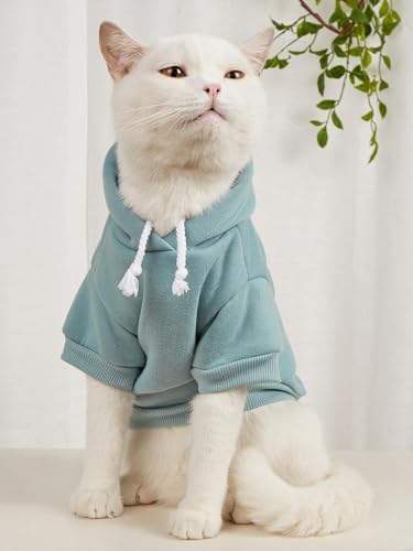 QWINEE Basic Dog Hoodie Sweatshirt Puppy Sweater Warm Cat Costumes Pet Clothes for Chihuahua Puppy Kitten Small Medium Dogs Pink and Green Small