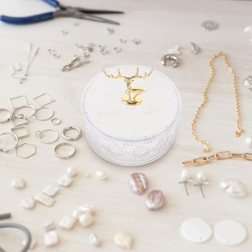 HOMSFOU Jewelry Box Earring Organizer Pet Decorative Storage | Dust Protection for Valuables, Simple Compact Design, Elegant Outlook, for Colleagues and Friends