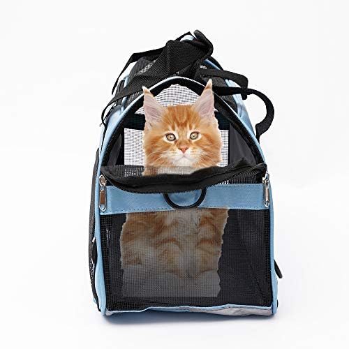 MuchL Pet Carrier Soft-Sided Carriers for Cat Carriers Dog Carrier for Small Medium Cats Dogs Puppies Pet Carrier Airline Approved Cat Dog Pet Travel Carrier (Small, Blue)