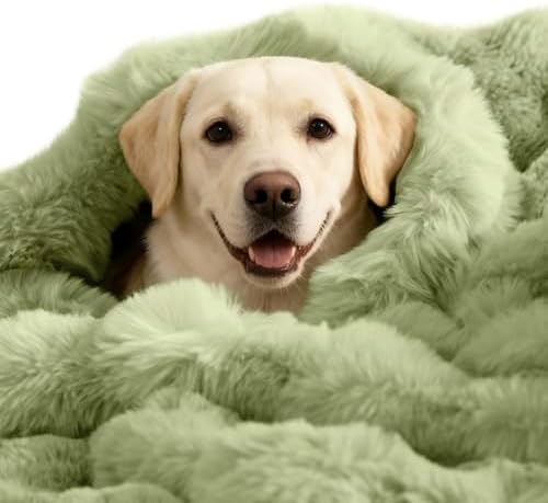 SOMAHE Dog Blanket for Couch Bed, Soft Faux Fur, Large 39x31 Fruit Green