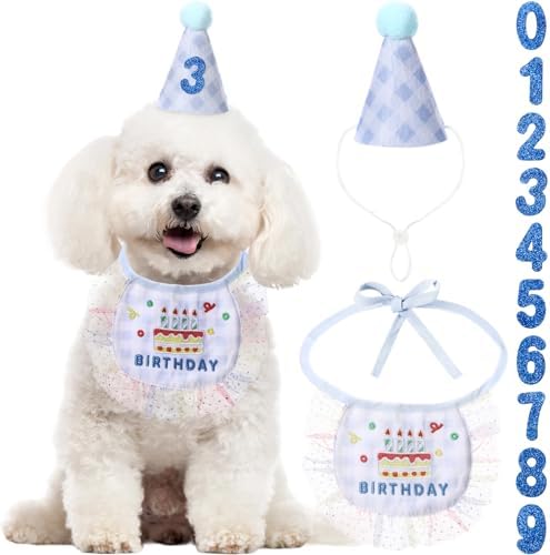 Chicingyou Dog Birthday Outfit Set Lace Bib Number Stickers, Cake, Blue