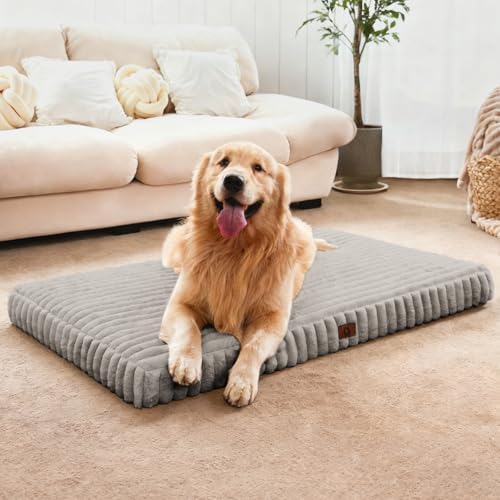 Extra Large Dog Bed Orthopedic Foam with Waterproof Lining | Egg crate foam for joint support. Soft plush surface. Non-slip bottom. Removable & machine washable cover. OEKO-TEX certified