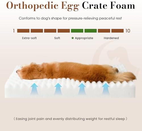 Large Orthopedic Dog Crate Bed with Waterproof Lining | Egg crate foam for joint support. Soft plush surface. Non-slip bottom. Removable & machine washable cover. OEKO-TEX certified